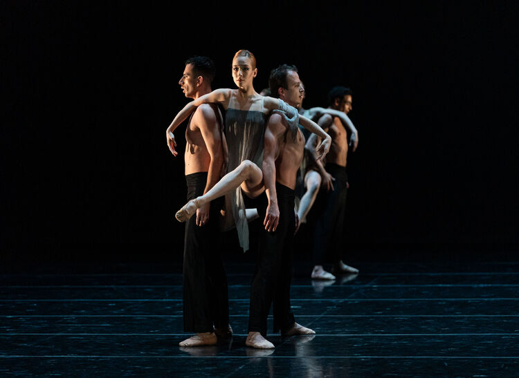 Murmaration. Marián Kuchar, Veronika Yungová, Damián Šimko.